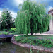 Antoinette Summers Photo 6
