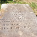Frances Clark Photo 19