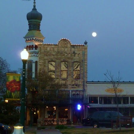 Diane Gibbs Photo 15