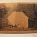 Melissa Holbrook Photo 16