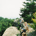 Stephen Crowder Photo 19