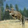 Bobby Mcdaniel Photo 19