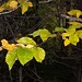 Edward Munn Photo 6