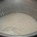Martha Rice Photo 13