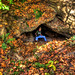 James Putnam Photo 15