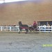 Michelle Whipple Photo 33