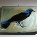 Richard Crow Photo 49