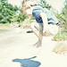 Joseph Calvert Photo 7