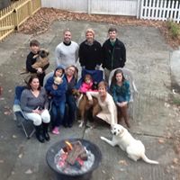 Lisa Wester Photo 20