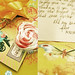 Desiree Wells Photo 15