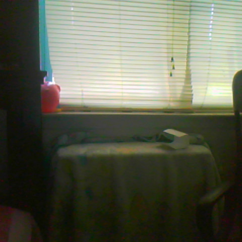 Cindy Baez Photo 12