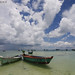 Quoc Dao Photo 19