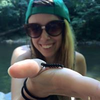 Dana Shafer Photo 8