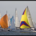 Connie Wight Photo 13