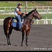 Richard Alvarez Photo 44