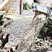 Deniz Turan Photo 19