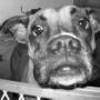 Debra Yates Photo 5