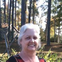 Cathy Adcock Photo 10
