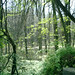 Geneva Parks Photo 8