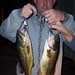 Mike Fish Photo 11
