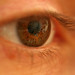 Deborah Lash Photo 11