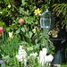 Hyacinth Francis Photo 17