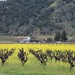 Debra Bloom Photo 17