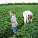 Susan Kyle Photo 34