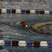 David Gregg Photo 49