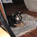 Homero Gracia Photo 10