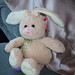 Virginia Hopson Photo 12