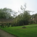 Rose Bower Photo 20