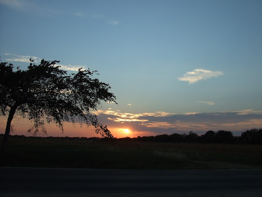 Cindy Finley Photo 23