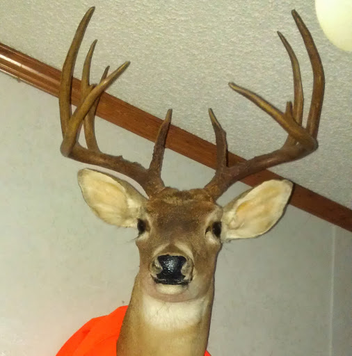 Tim Layton Photo 23