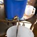 Crystal Stout Photo 17