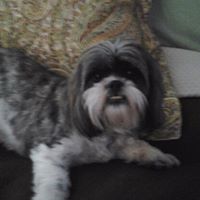 Sharon Hopson Photo 10