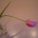Alice Hudson Photo 41