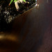 Richard Manning Photo 44