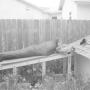 James Rodrigues Photo 44
