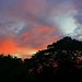Dawn Burns Photo 30