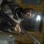 Gregory Quick Photo 23