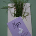Steve Card Photo 34