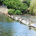 Charles Weir Photo 36