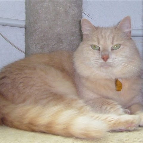 Linda Bean Photo 47