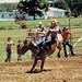 Penny Buck Photo 17