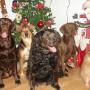 Peggy Thompson Photo 24