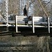 Jan Hensley Photo 8