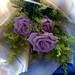 Joanne Rose Photo 21