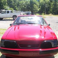 Lee Shultz Photo 7