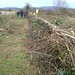 Steven Hedges Photo 6
